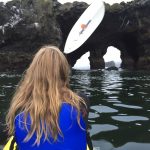Safari Town Kayak Tours