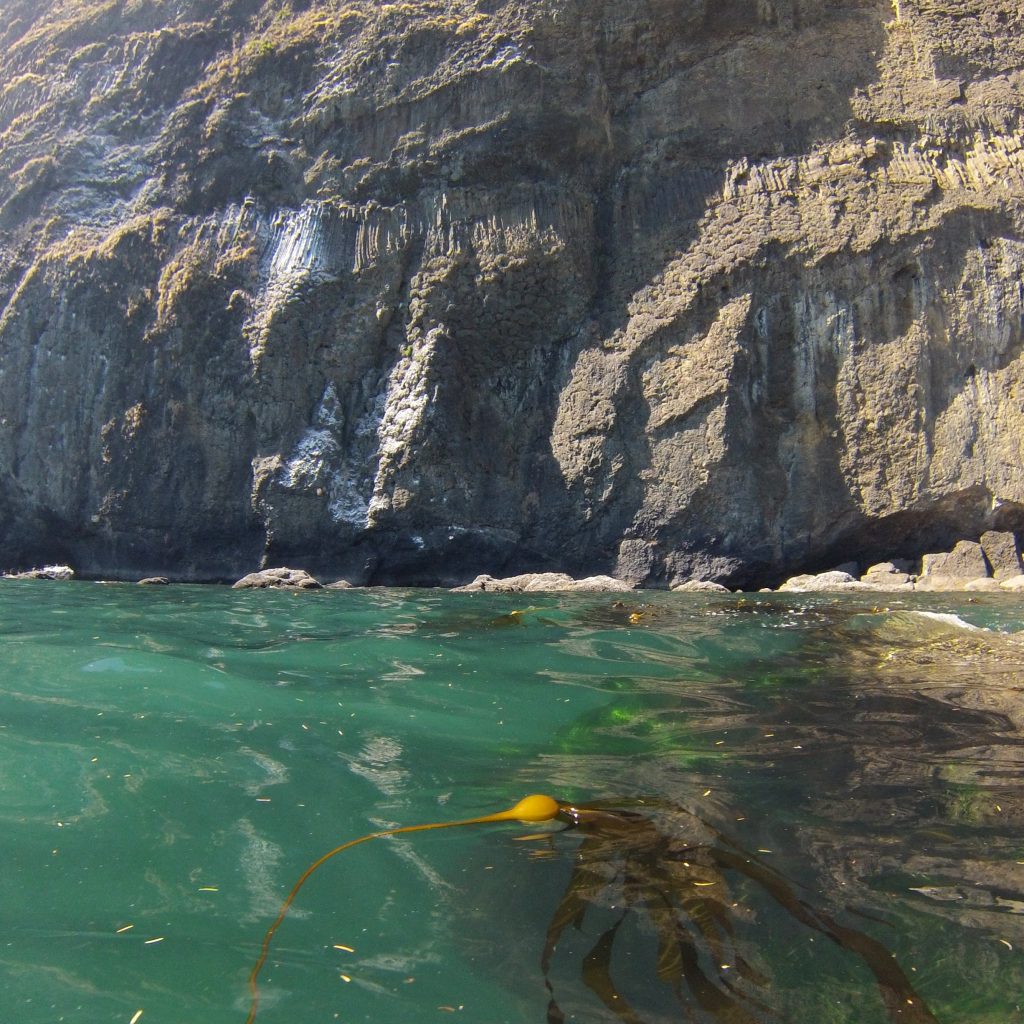 Oregon Coast