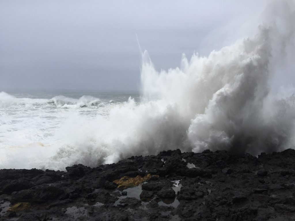 Oregon Coast Winter Storm Watching