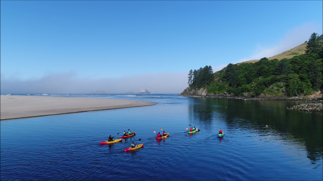 Safari Town Kayak Tours