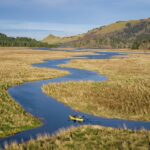 Things to do in Lincoln City