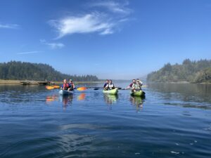Large & Small Group Kayak Tours